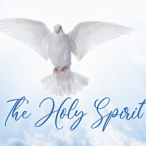 Our Willingness to be Teachable and Guided by the Holy Spirit