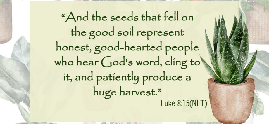 Botanical background with Luke 8:15 written across it.