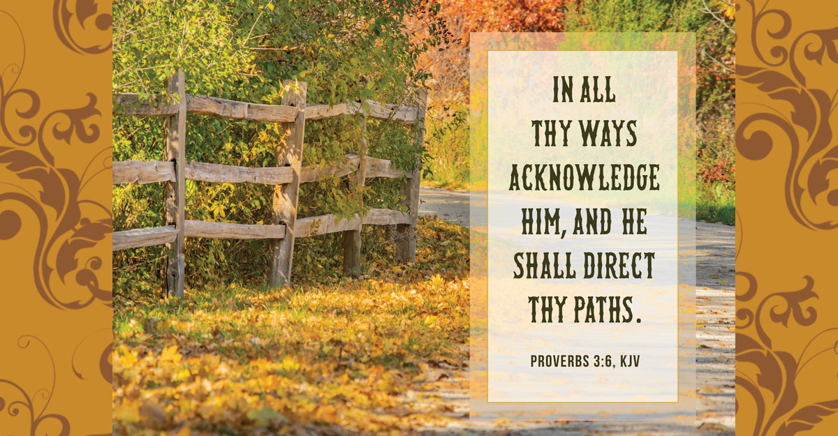 Beautiful Fall tree-lined pathway with the words of Proverbs 3:6