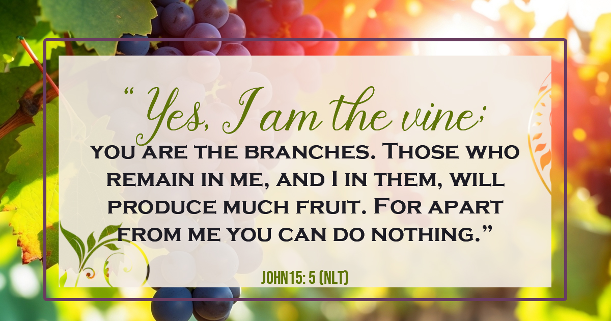 Colorful grapes growing on twisting vines and branches with sunlight shining through the leaves. The foreground displays John 15:5, symbolizing abiding in Jesus Christ, spiritual growth, and staying close to God.